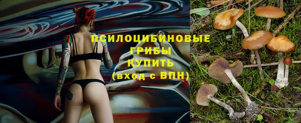 хмурый Покровск