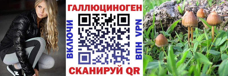 Купить где  Южно-Сахалинск  Галлюциногенные грибы мухоморы 